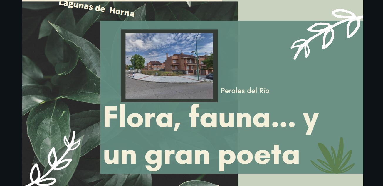 Descubriendo y diseñando
