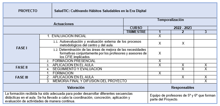 Organización del proyecto por fases