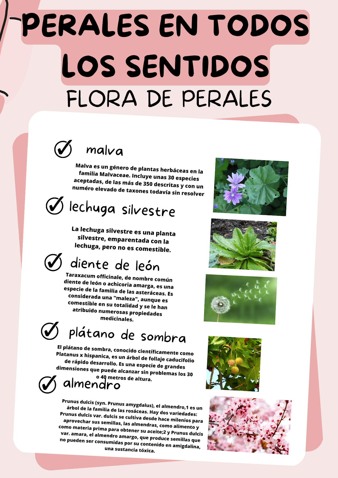 Presentación de la flora de Perales del Río