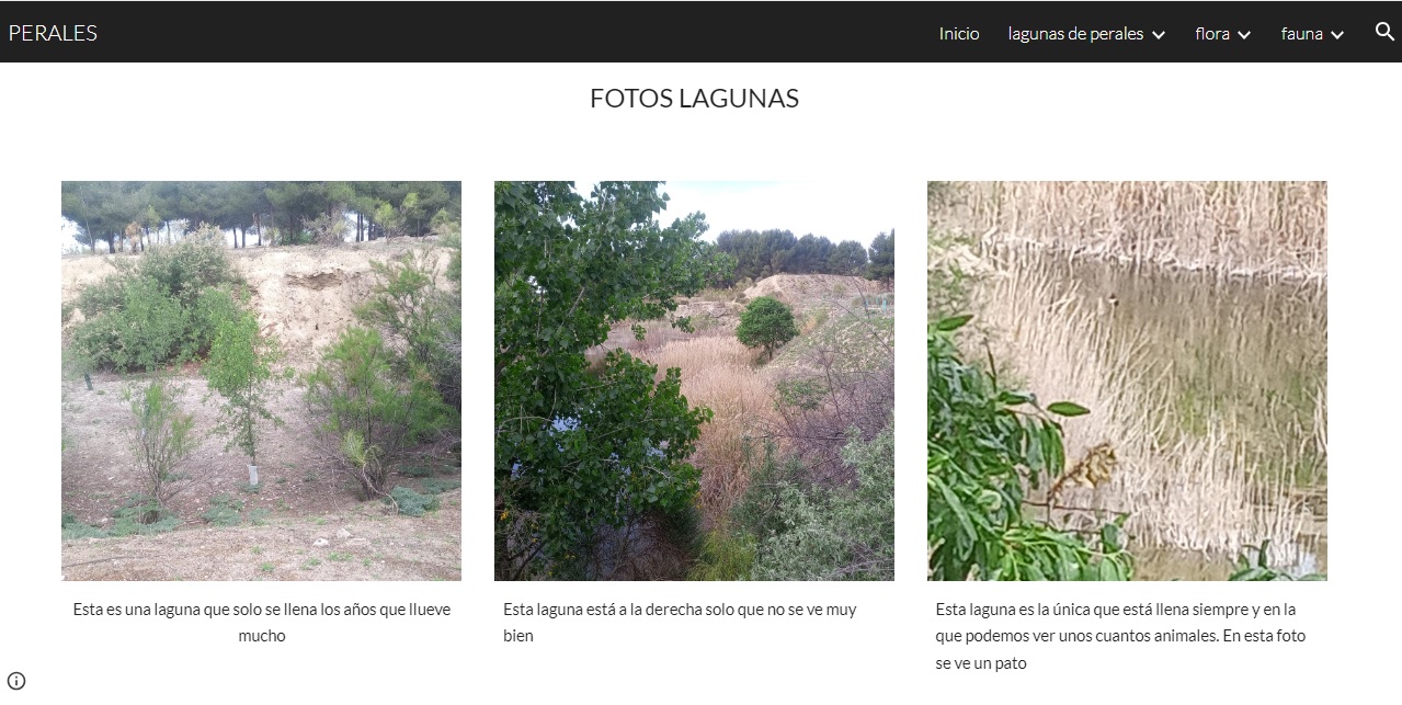 Del campo a la web