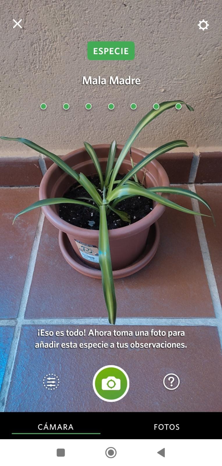 Ejemplo de planta analizada por Seek