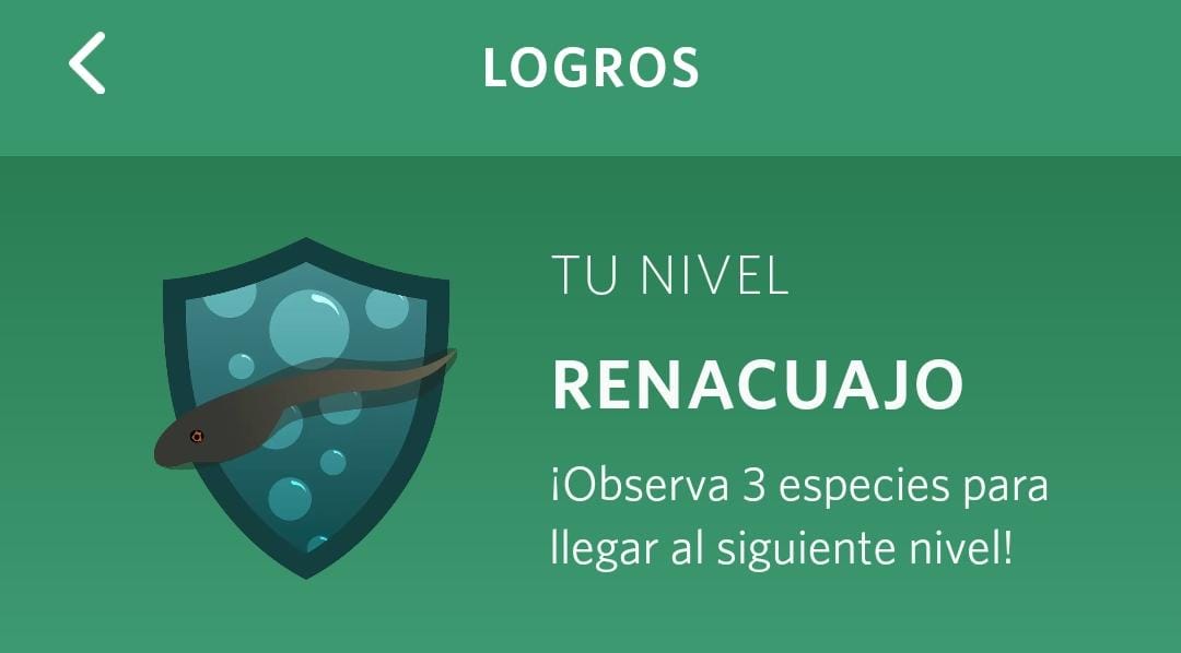 Primer nivel de Seek