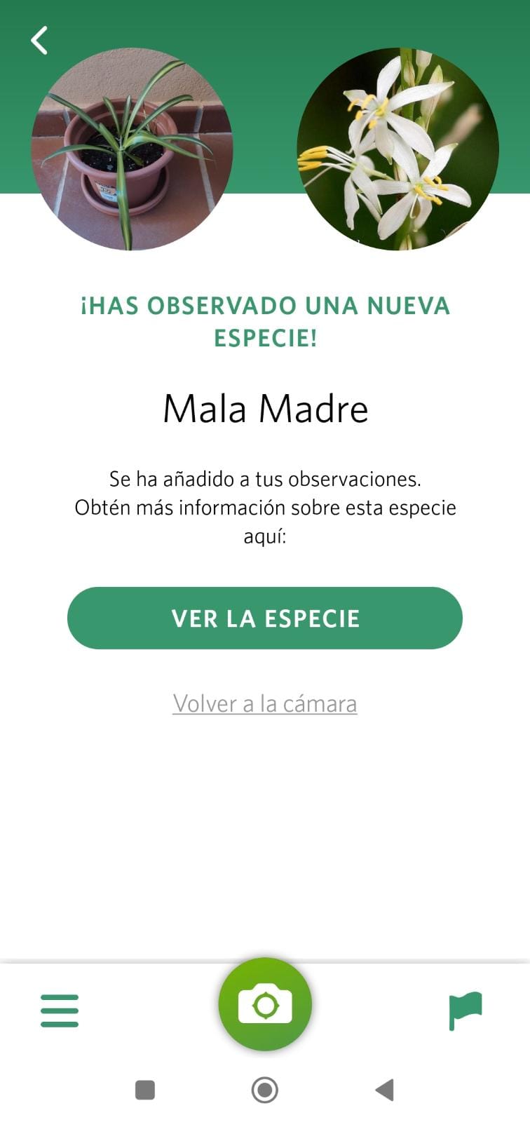 Ánalisis hecho por Seek