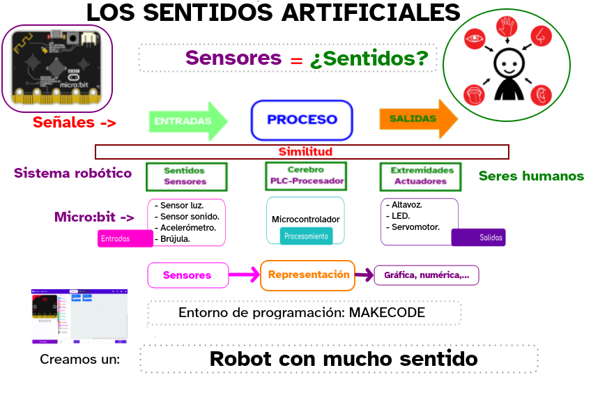 Esquema final resumen de la experiencia