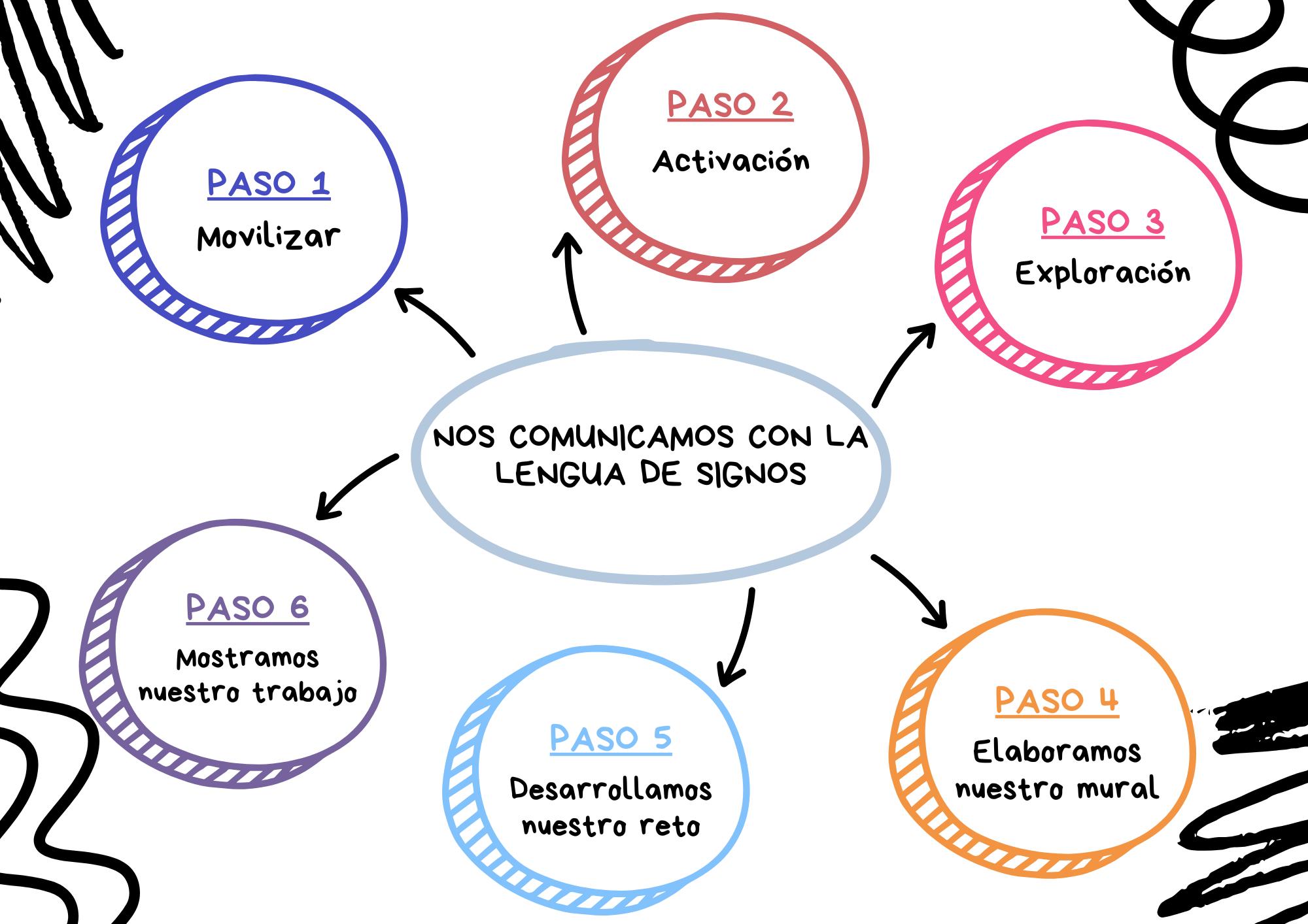 Paso a paso
