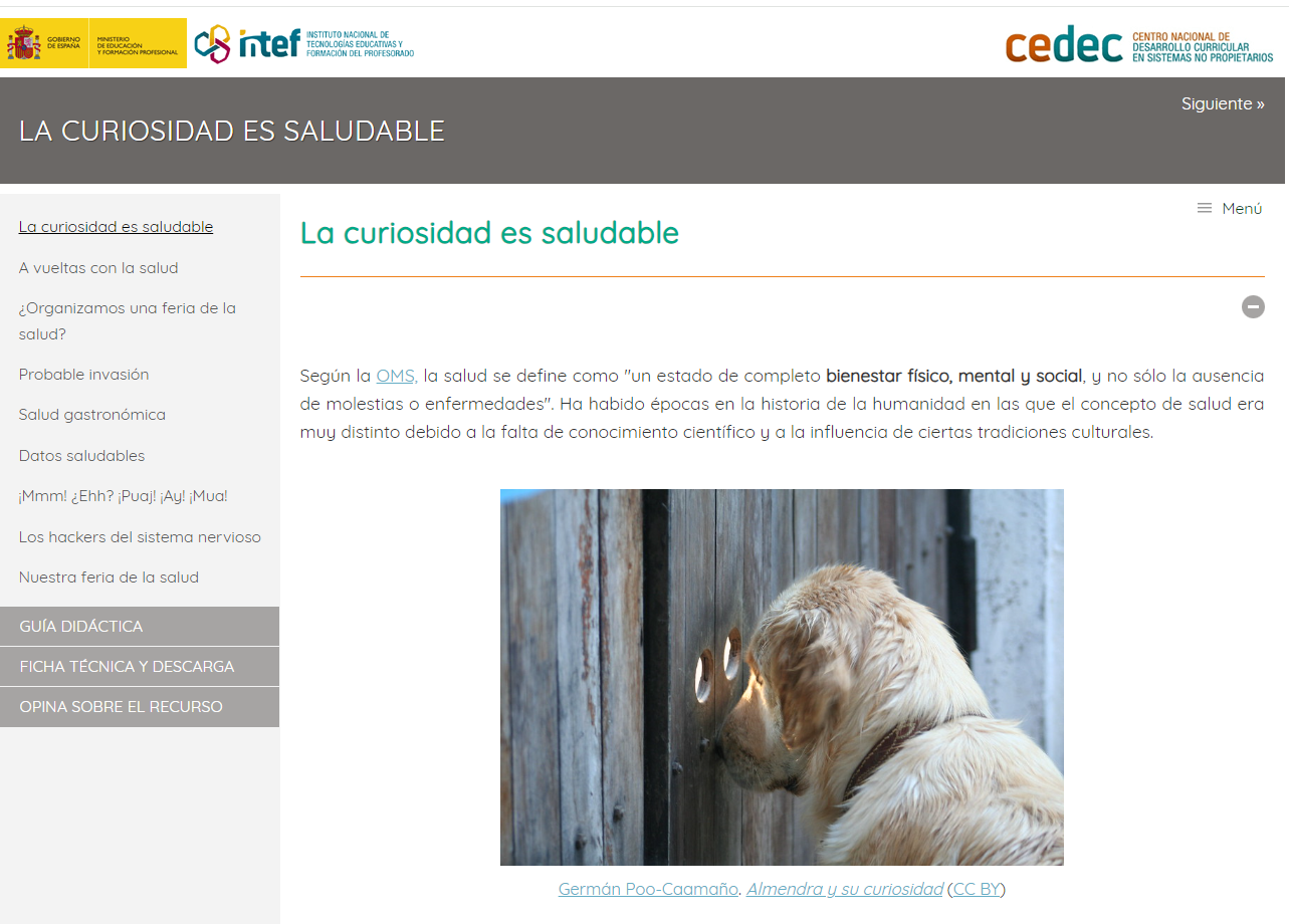Receta 1