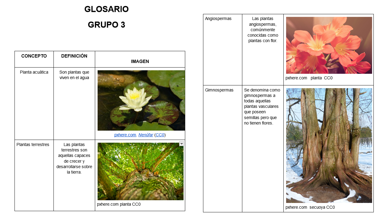 Glosario