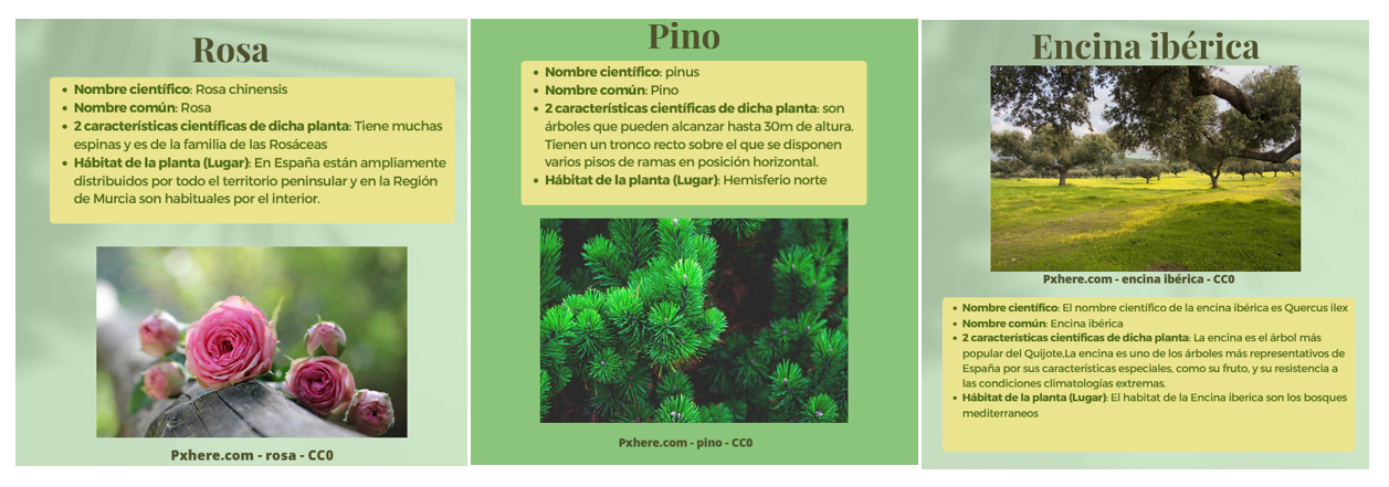 Ejemplo de algunas páginas del herbario