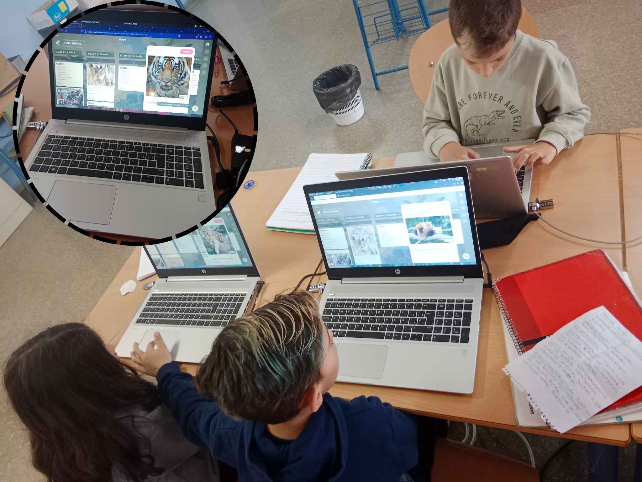 Padlet: ”reino animal”