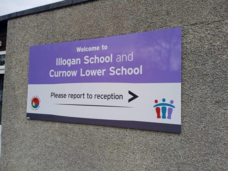 Estancia profesional en Illogan School en Illogan (Reino Unido)