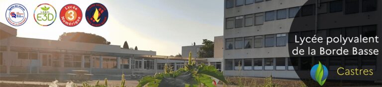 Estancia profesional en Lycée de la Borde Basse en Castres (Francia)