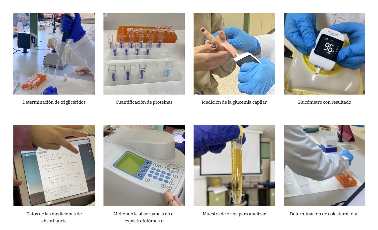 Imágenes de la parte experimental de los proyectos de investigación