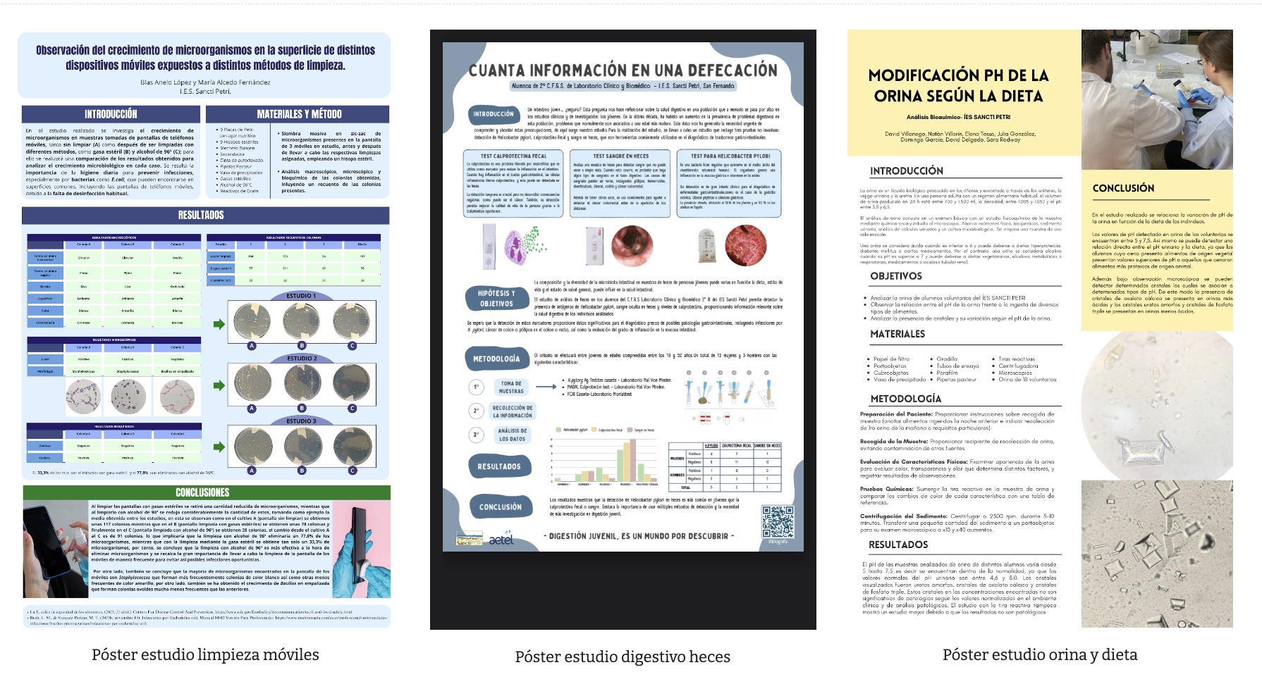 Posters científicos de los proyectos de investigación (grupos 1, 2 y 3)