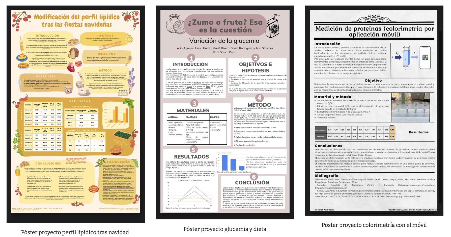 Posters científicos de los proyectos de investigación (grupos 4, 5 y 6)