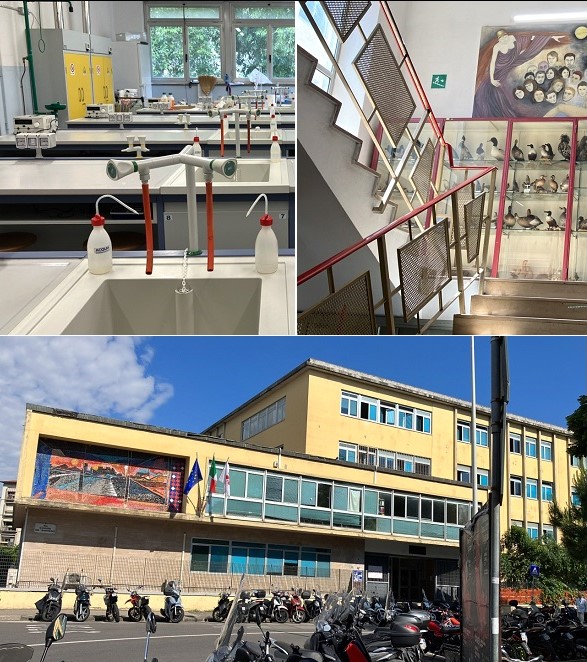 Estancia profesional en Liceo Scientifico Leonardo Da Vinci en Florencia (Italia)