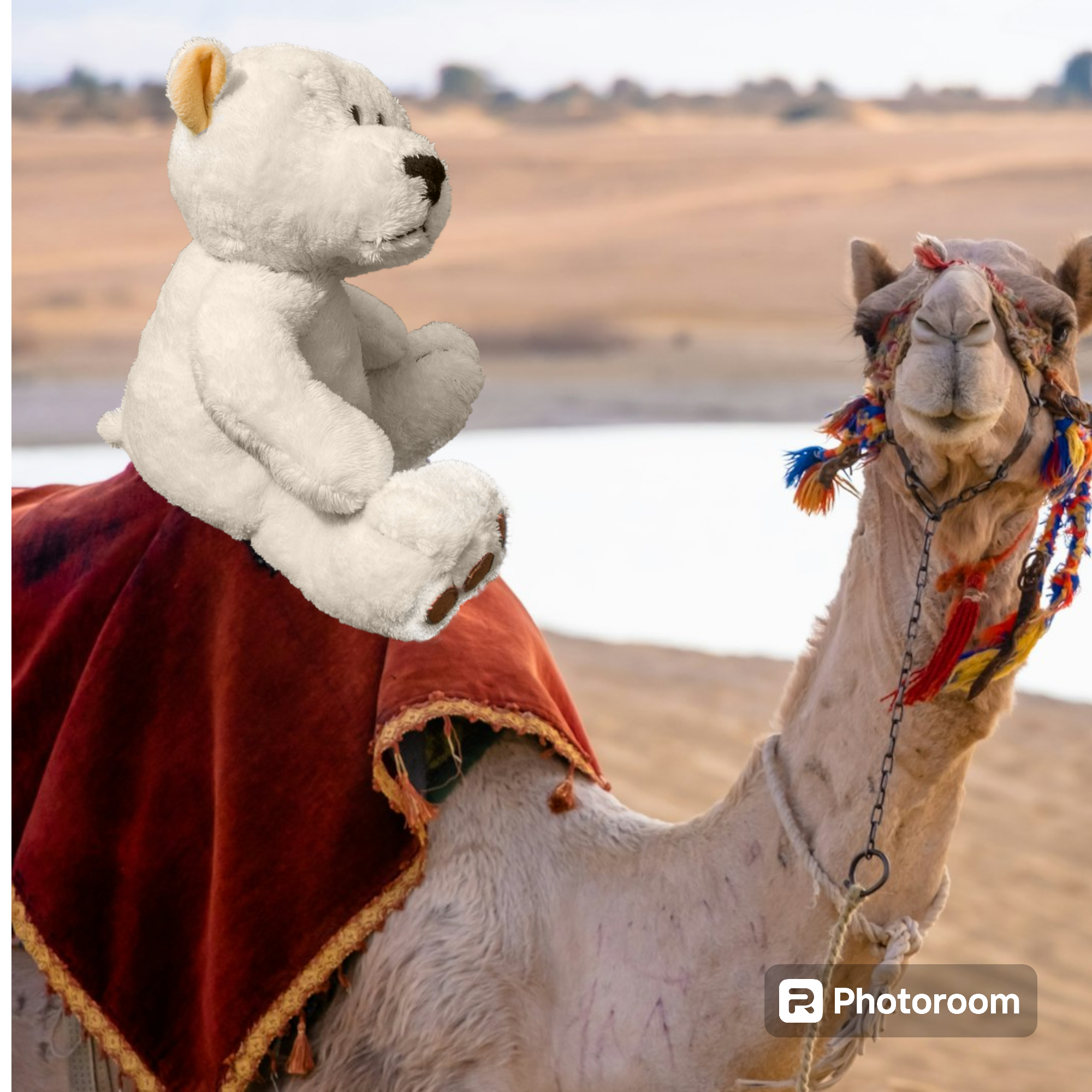 Figura 5. Foto generada con PhotoRoom para introducir un nuevo Proyecto