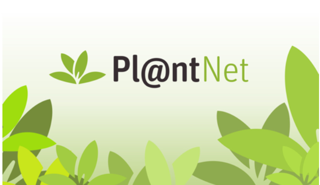 Ilustración 2 - logo