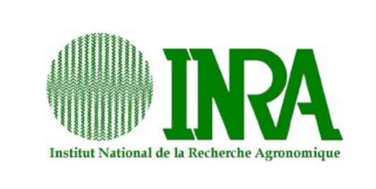 Ilustración 3 - INRA
