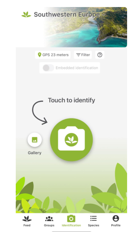 Ilustración 8.- Identificación