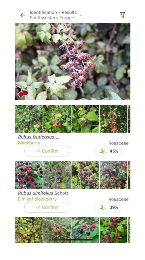 Ilustración 9- Ejemplo de escaneo