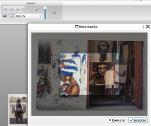 Figura 7. Recortar la imagen