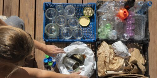Imagen de Cuidamos la naturaleza: reciclaje y respeto ambiental