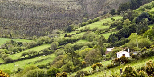 Imagen de Climas y paisajes de la Península Ibérica