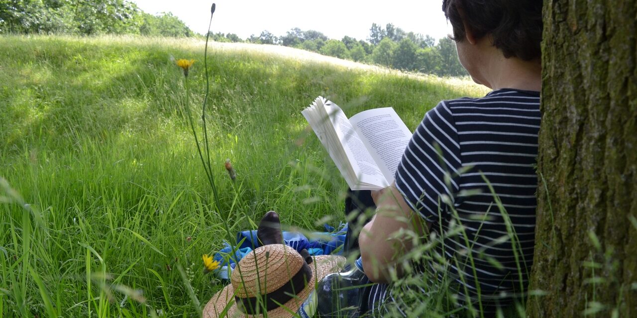Imagen de Literatura y ecología: la naturaleza como personaje