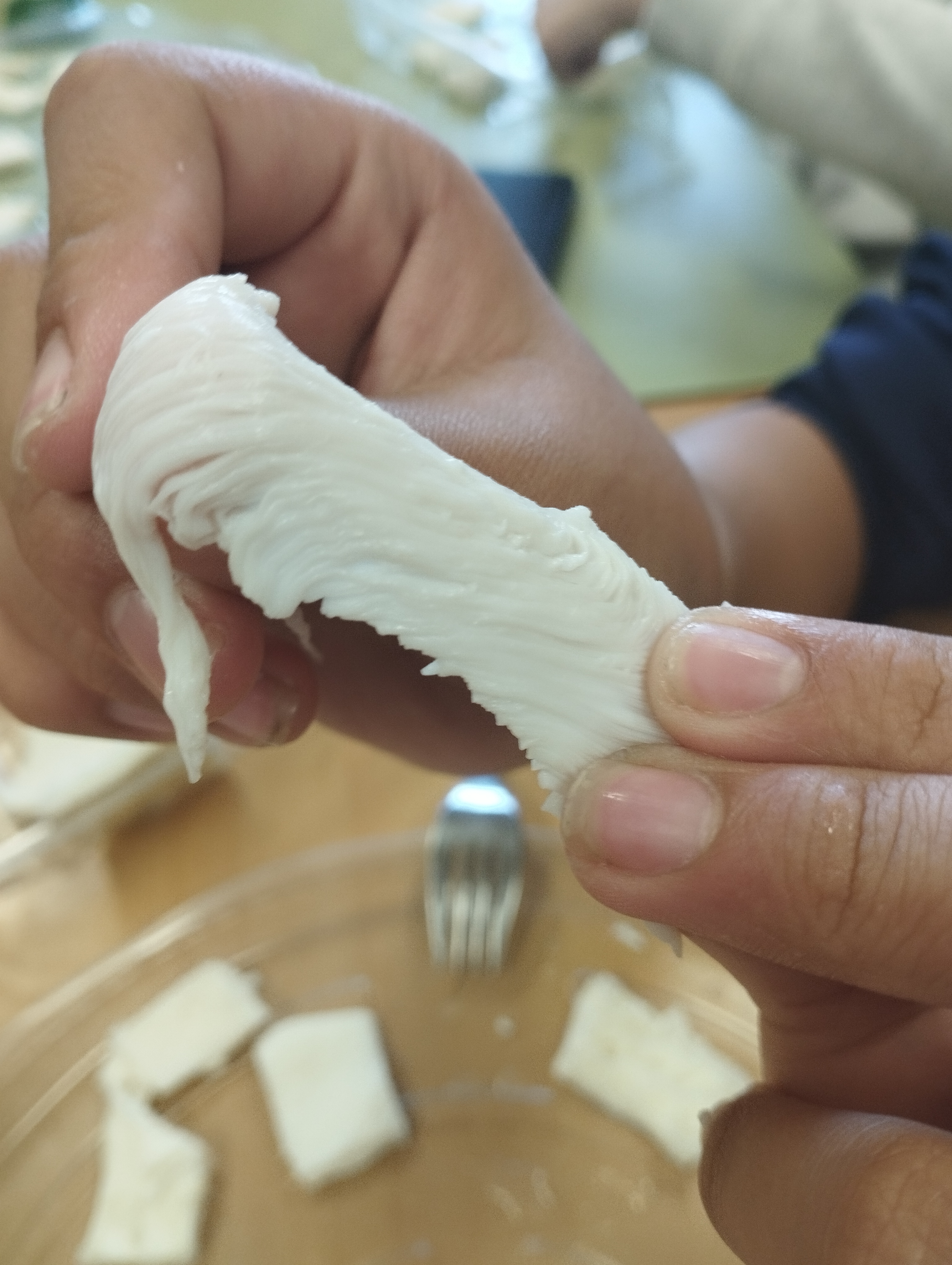 Observación estómago Observación estómago