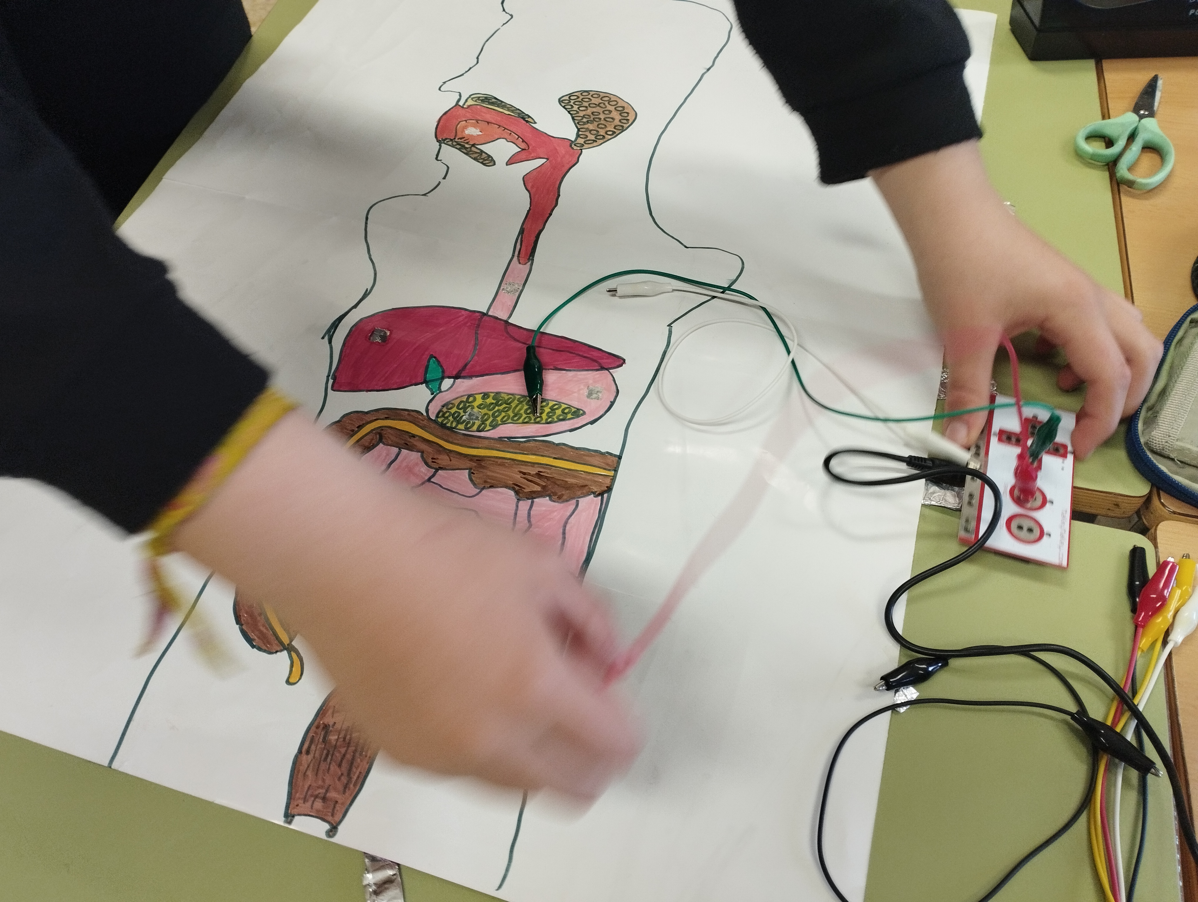 Colocación de los cables en la maqueta. Colocación de los cables en la maqueta.