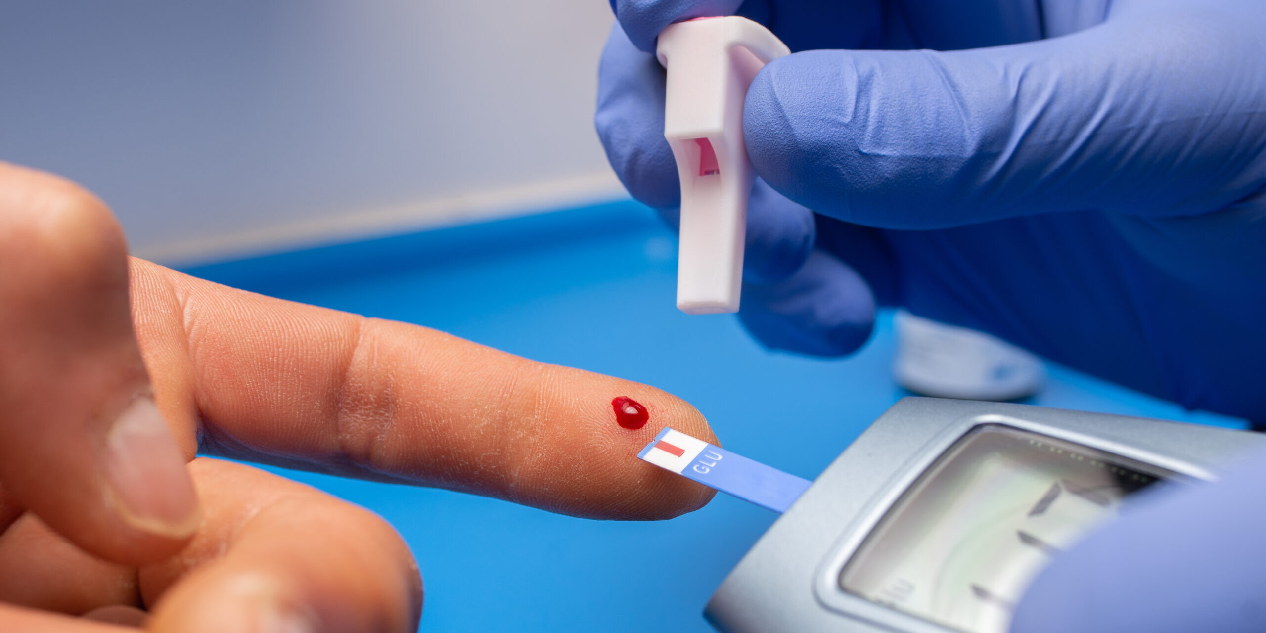 Imagen de La célula como fábrica: funciones vitales en acción