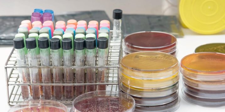Imagen de La salud empieza en el laboratorio: bioquímica celular y microbiología