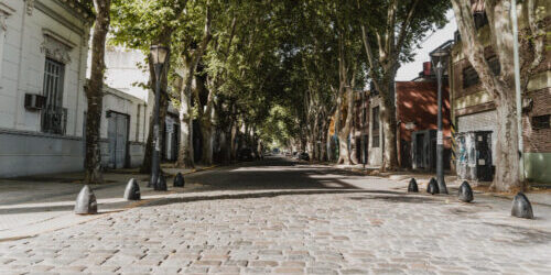 Imagen de Nuestro municipio: historia y organización