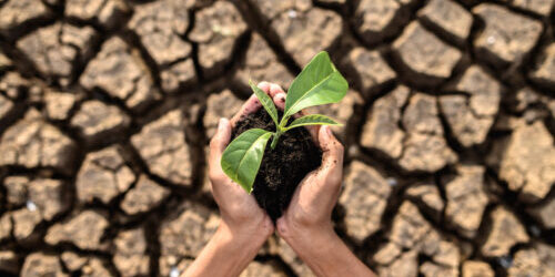 Imagen de El cambio climático es una realidad