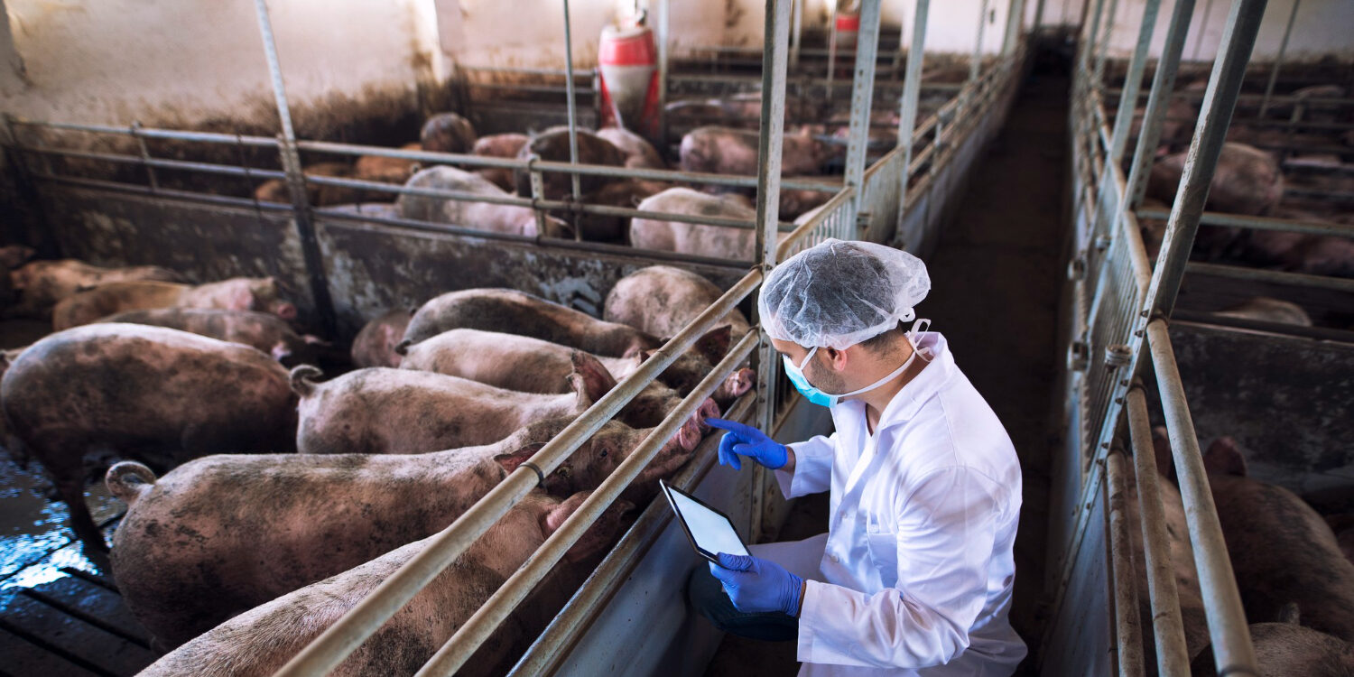 Imagen de Ecosistemas y sostenibilidad medioambiental