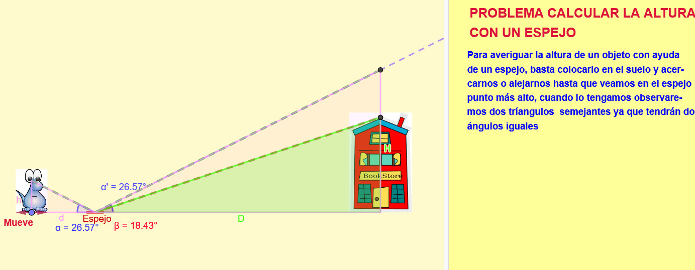 Imagen de Problema del espejo
