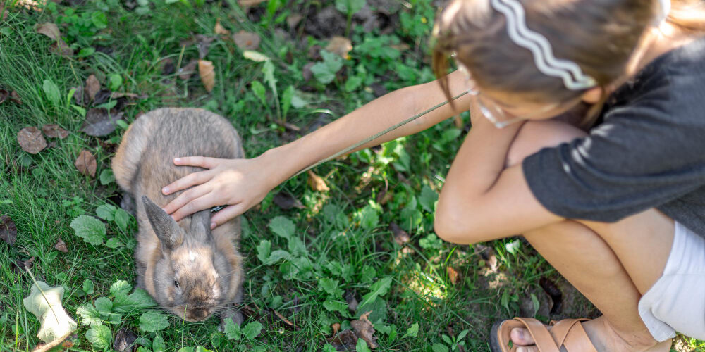 Imagen de Convivimos con otros seres vivos: aprendemos a cuidarlos y respetar su entorno