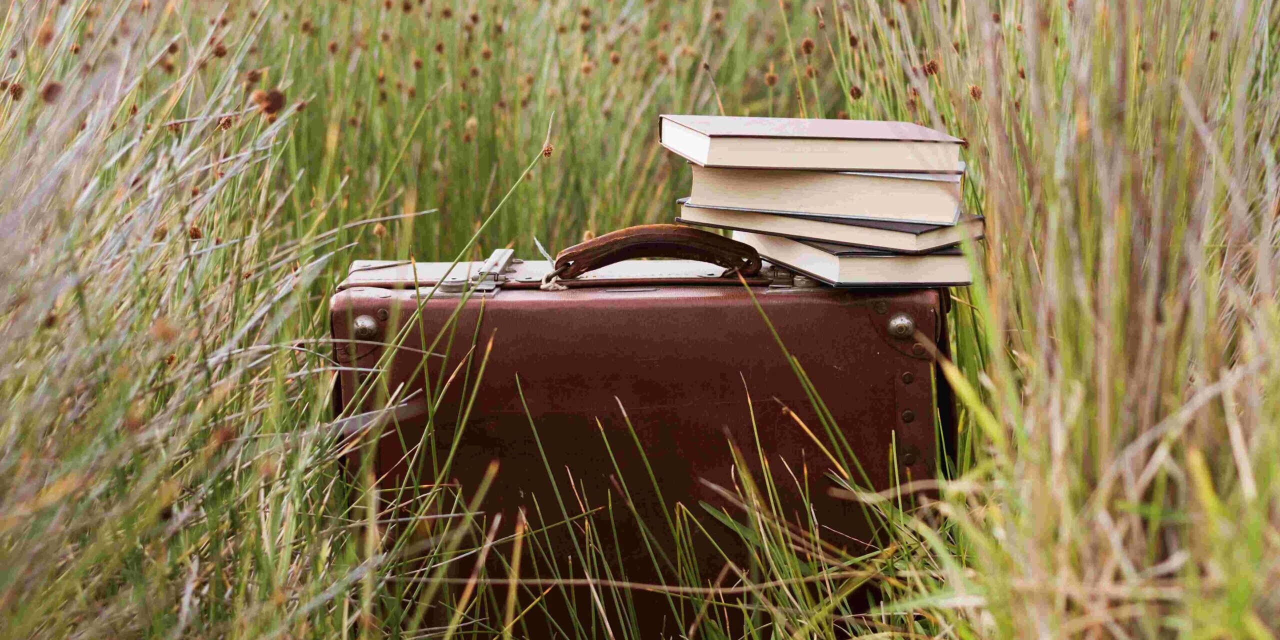 Imagen de La literatura de la diáspora: narrativas de identidad