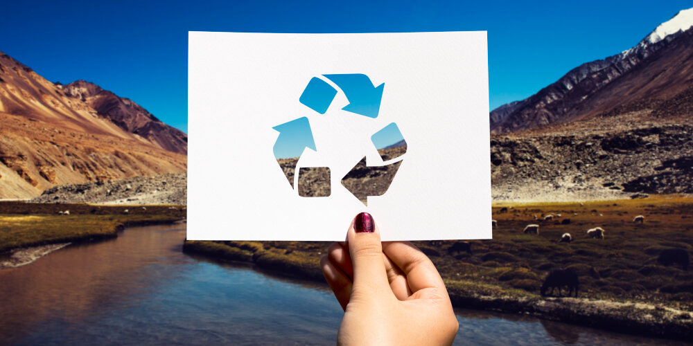 Imagen de Reciclaje y sostenibilidad ambiental