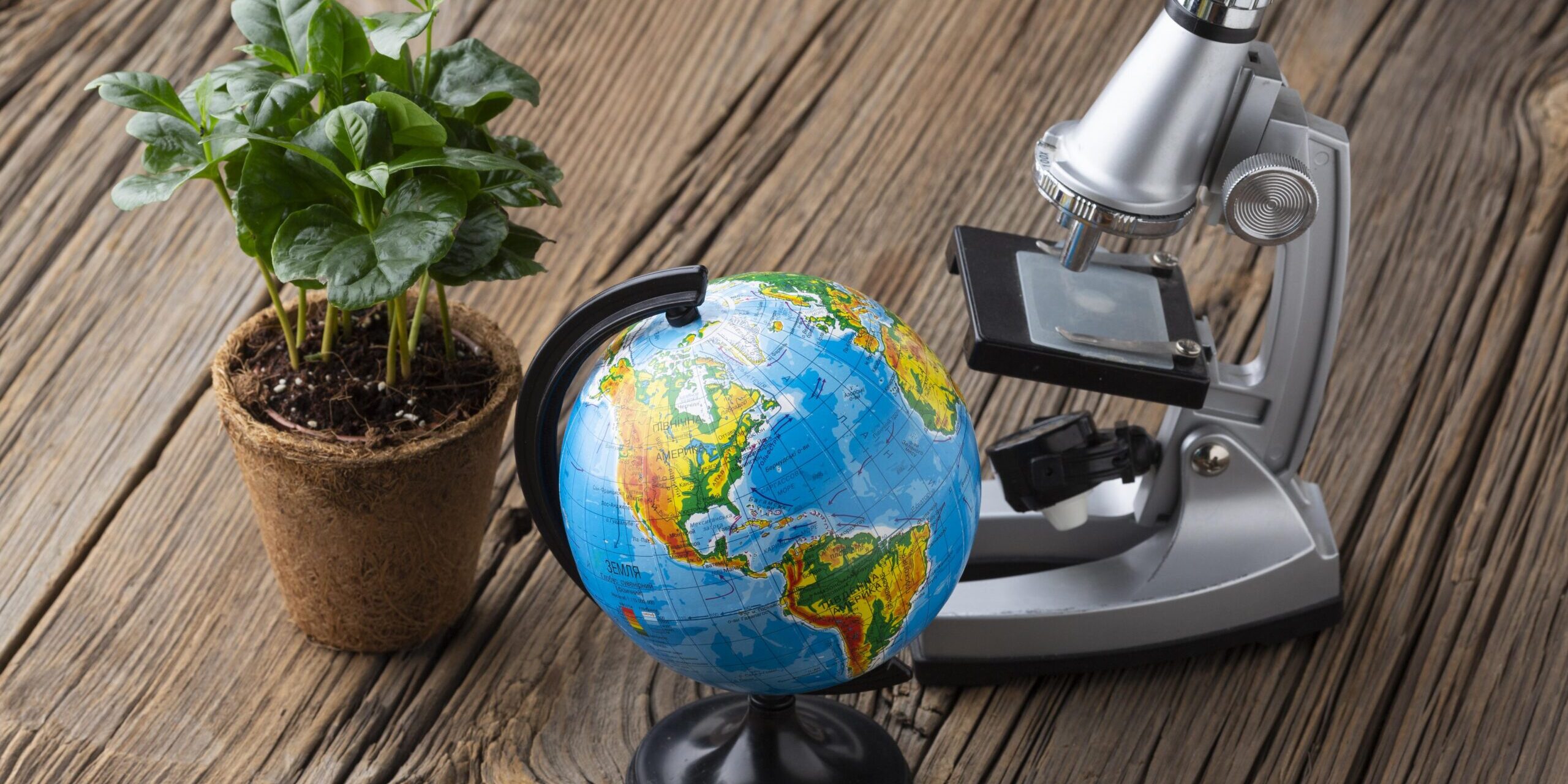 Imagen de Ciencia aplicada a nuestro entorno