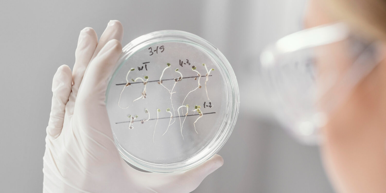 Imagen de Genética y biotecnología: impacto en la sociedad