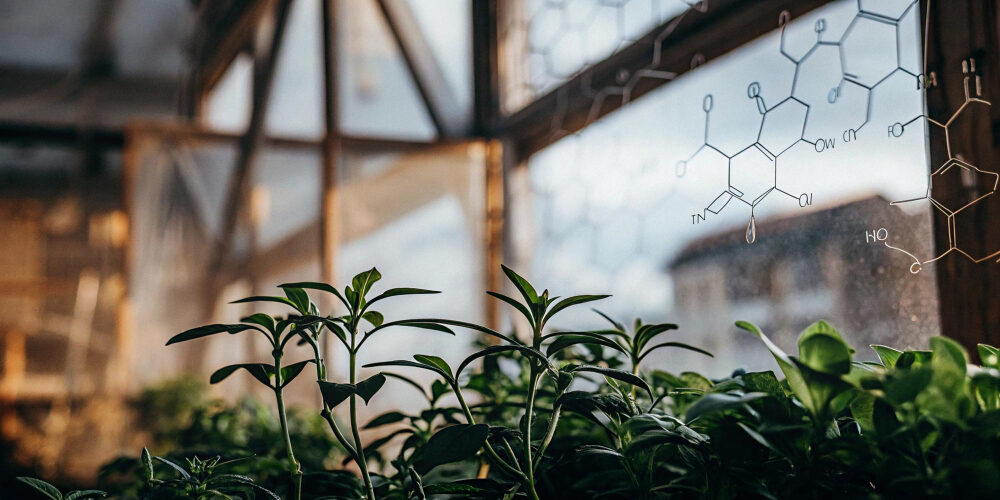 Imagen de Química y sostenibilidad