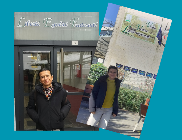 Estancia profesional en el Lycée la Venise Verte, Niort (Francia)