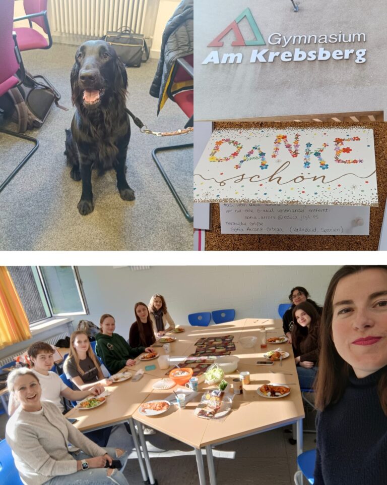 Estancia profesional en Gymnasium am Krebsberg (GaK), en Neunkirchen (Alemania)