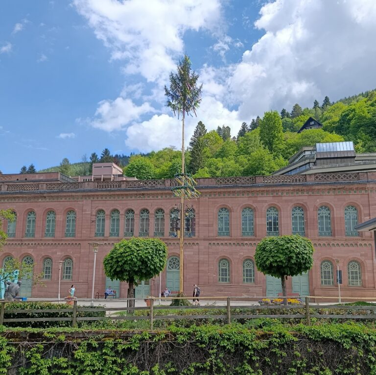Estancia profesional en Enztal Gymnasium de Bad Wildbad (Alemania)
