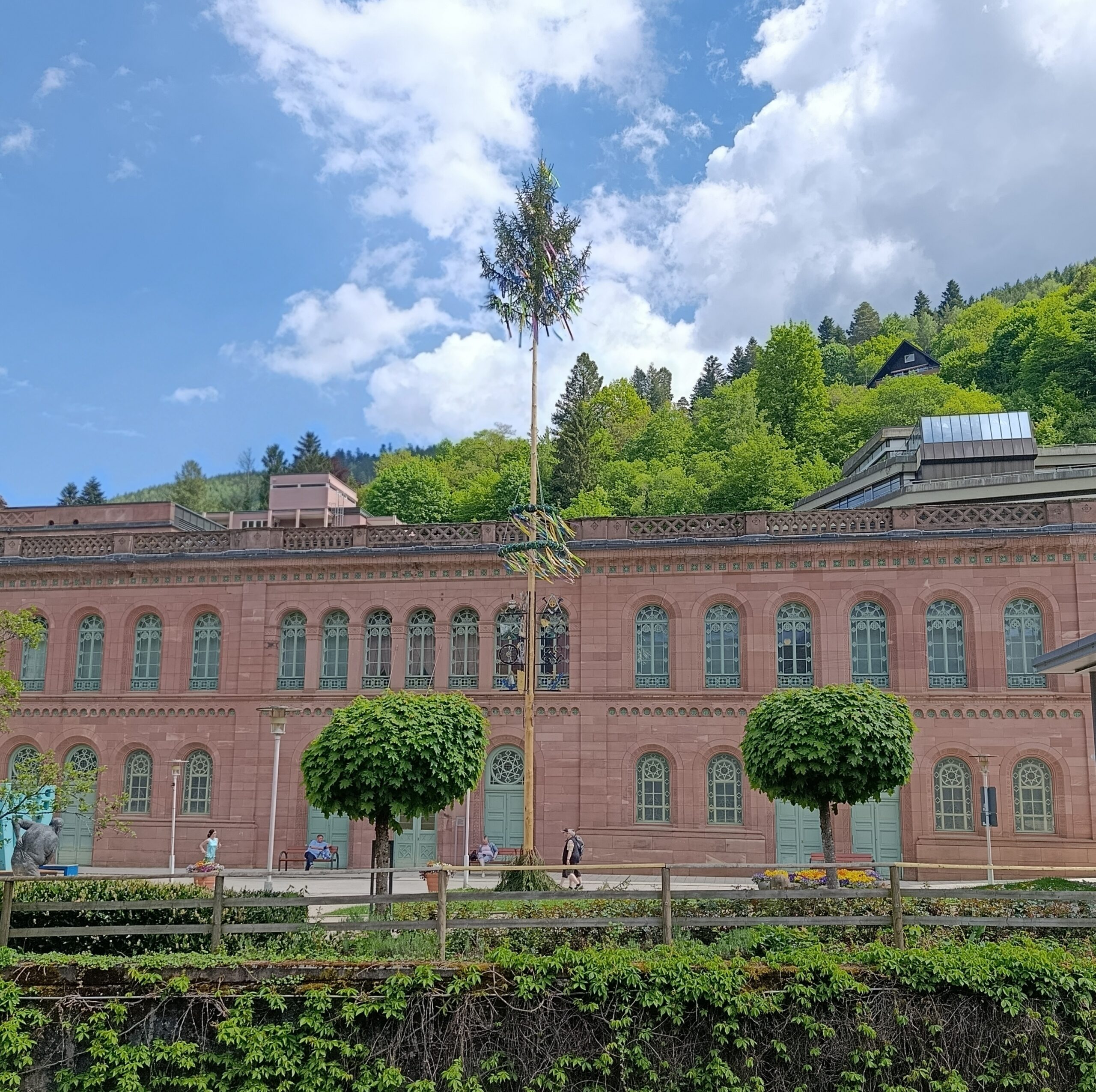 Estancia profesional en Enztal Gymnasium de Bad Wildbad (Alemania)   