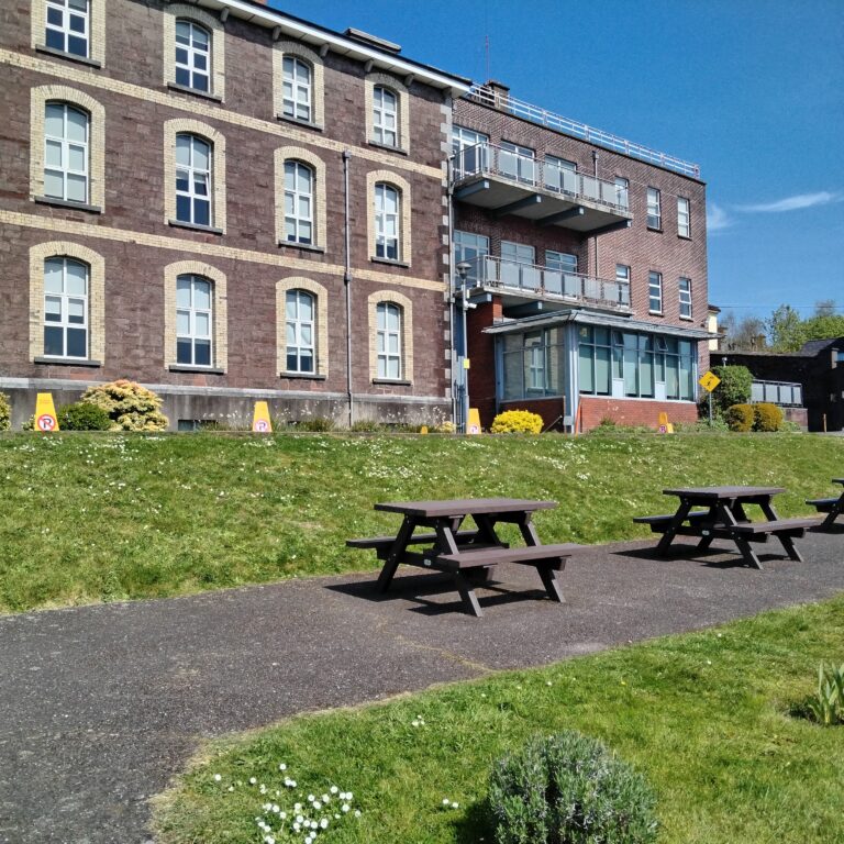 Estancia profesional en el Cork Educate Together Secondary School, en Cork (Irlanda)