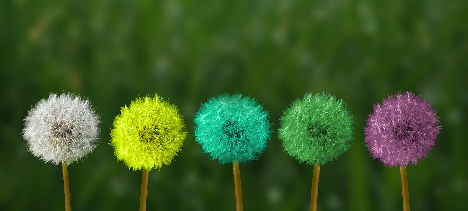 Imagen Colores