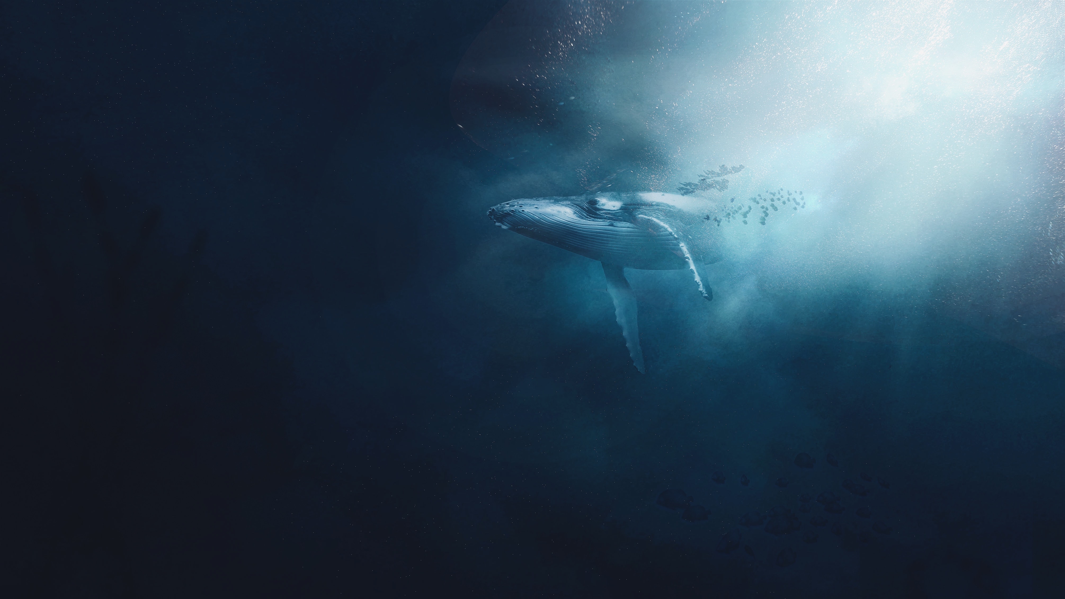 Photo by Gabriel Dizzi on Unsplash