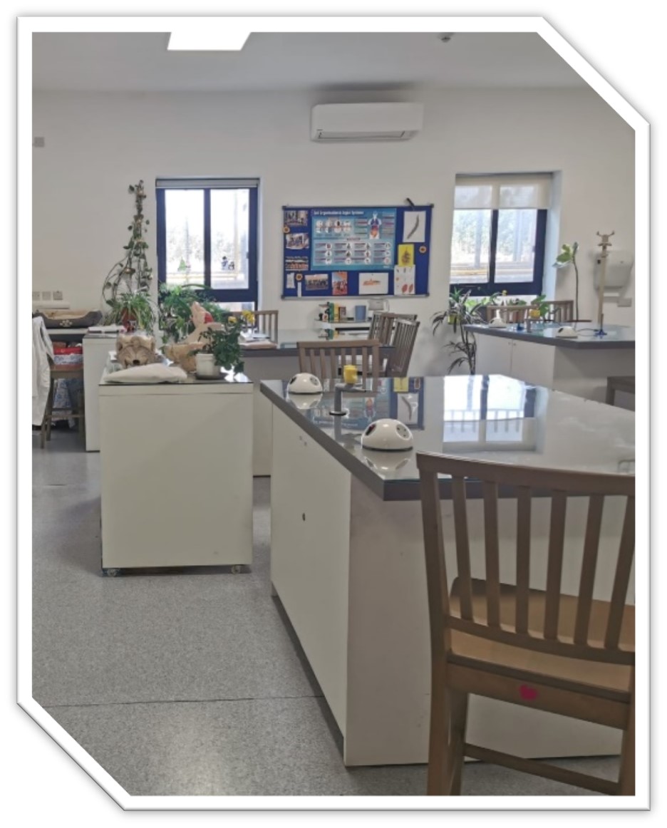 Estancia profesional en San Andrea School en Mgarr (Malta)